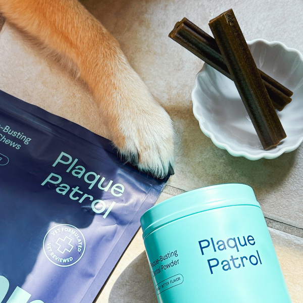 Dog paw next to blue "Plaque Patrol" dental chew package and teal powder container, with dental chew sticks in white bowl