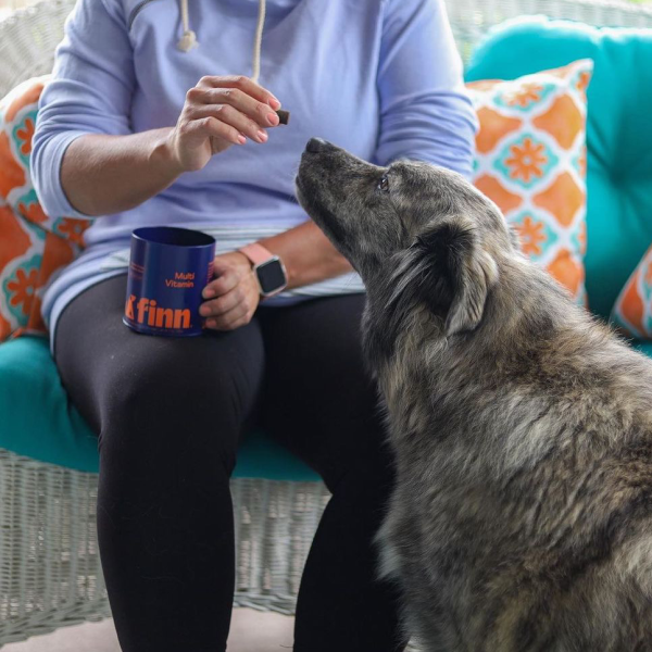 Person in blue hoodie sitting on teal couch giving treat to gray dog, holding blue mug with "Finn" text