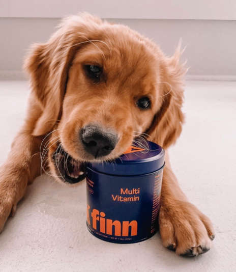 Golden retriever puppy holding blue Finn Multi Vitamin container in mouth while lying on white surface