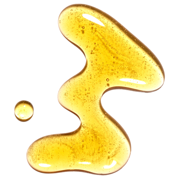 Golden yellow honey or oil splash in an organic flowing shape with small bubbles and droplets
