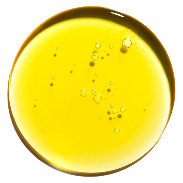 Golden yellow oil with air bubbles floating in a circular droplet or container viewed from above