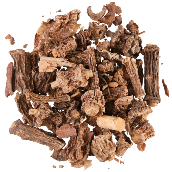 Dried brown sarsaparilla root pieces and bark fragments scattered in a circular pile on white background