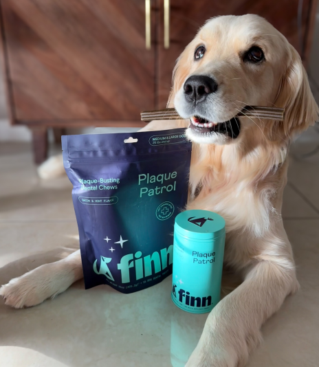Golden retriever sitting beside blue Finn Plaque Patrol dog dental chew products on kitchen floor