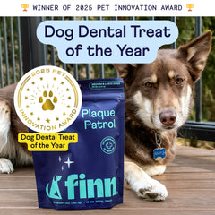 Dog with brown and white fur sits next to blue Finn Plaque Patrol dental treat package, with golden 2025 Pet Innovation Award badge overlay