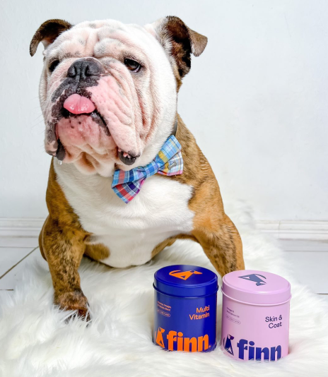 Bulldog wearing a bow tie with two Finn pet product containers on a white background