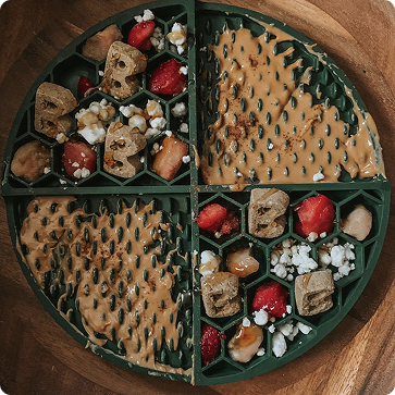 Round green sectioned tray with assorted chocolates, nuts, and treats arranged in four compartments on wooden surface