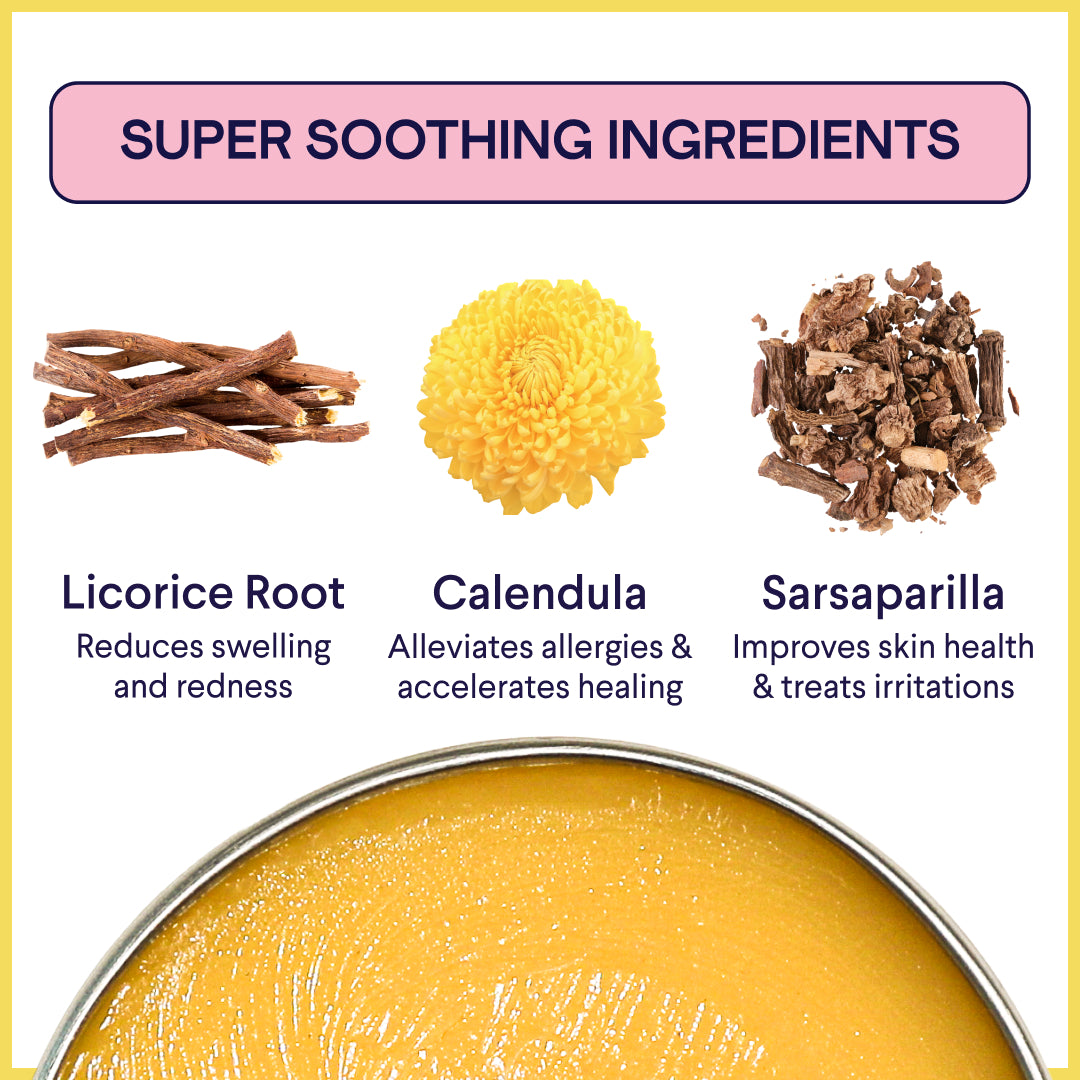 Yellow healing balm tin with three natural ingredients above: brown licorice root sticks, bright yellow calendula flower, and dried brown sarsaparilla pieces