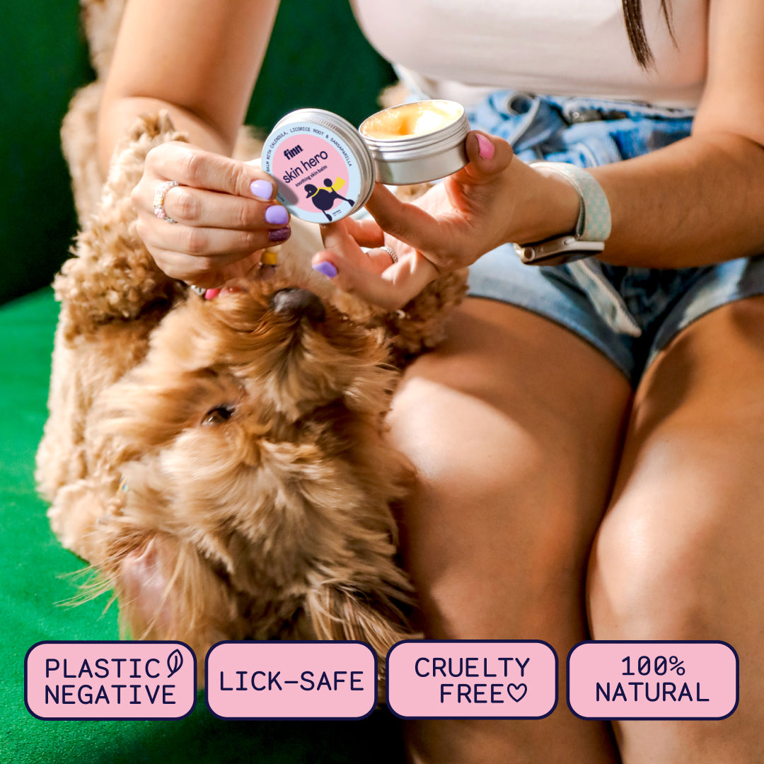 Woman with purple nails applying natural dog sunscreen to fluffy golden puppy outdoors, product containers visible