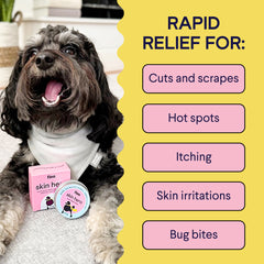 Happy dog with gray and white fur wearing white bandana next to pink skin care product, with yellow background listing treatment uses