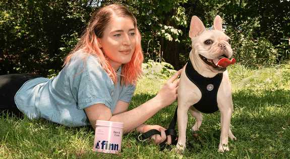 Woman with pink-tinted hair lying on grass next to white French Bulldog wearing black harness in sunny outdoor setting