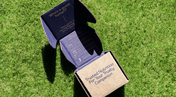 Purple and brown cardboard boxes with nutrition-related text sitting on green grass in sunlight