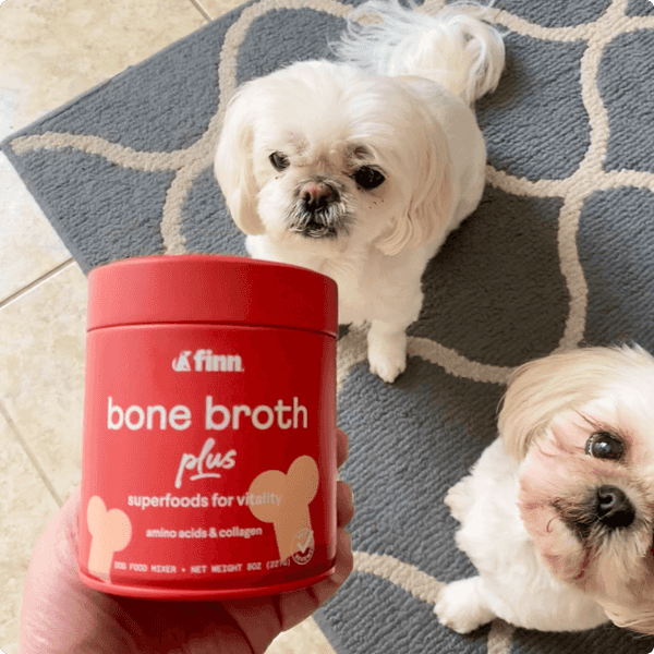 Two white fluffy dogs on gray patterned rug with red bone broth supplement container for pets