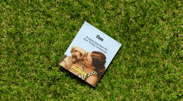 Marketing brochure for Finn pet nutrition company lying on green grass, featuring photo of person hugging golden doodle dog