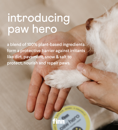 Person holding white dog's paw over hands with yellow Finn paw hero product container, introducing plant-based paw protection balm