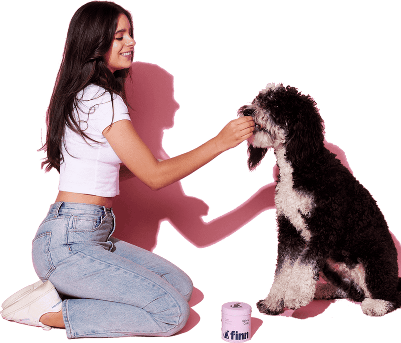 Woman in white crop top and jeans kneeling beside black and white curly-haired dog, petting its head against pink-tinted background