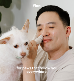Man in white shirt smiling with eyes closed, holding small white fluffy dog close to his face in bright indoor setting