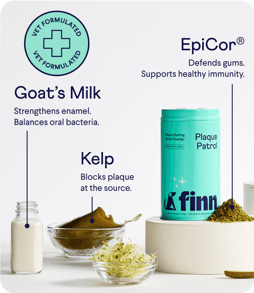 Veterinary oral health products including goat's milk bottle, kelp powder in bowl, and teal EpiCor container on white surface