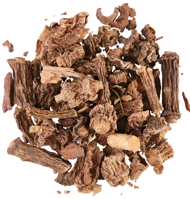 Dried brown sarsaparilla root pieces and bark fragments scattered on white background