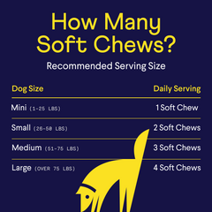 Blue infographic showing daily soft chew serving sizes for dogs by weight: mini (1-25 lbs) gets 1 chew, small (26-50 lbs) gets 2 chews, medium (51-75 lbs) gets 3 chews, large (over 75 lbs) gets 4 chews. Yellow dog silhouette included.