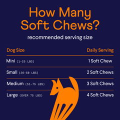 Dog soft chew serving guide chart on dark blue background showing daily amounts by dog size from mini to large with orange dog illustration