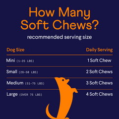 Dark blue infographic showing recommended daily soft chew servings by dog size, with orange text and dog silhouette