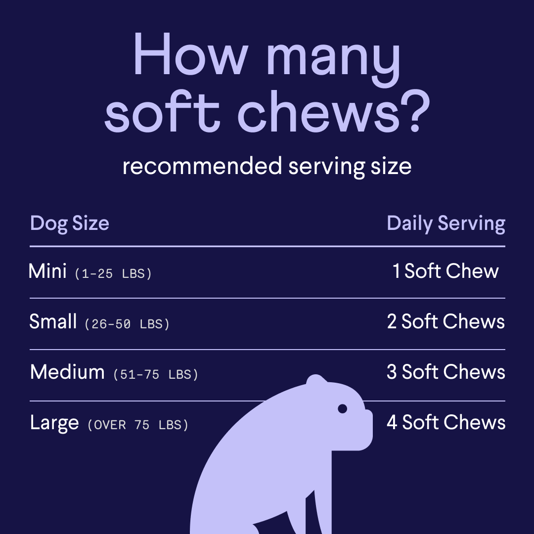 Purple-themed infographic showing dog soft chew serving sizes by weight: Mini (1-25 lbs) gets 1 chew, Small (26-50 lbs) gets 2, Medium (51-75 lbs) gets 3, Large (over 75 lbs) gets 4 daily. Features purple dog silhouette.