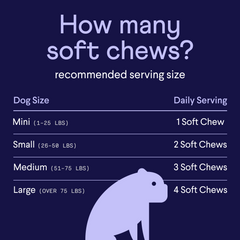 Purple-themed infographic showing dog soft chew serving sizes by weight: Mini (1-25 lbs) gets 1 chew, Small (26-50 lbs) gets 2, Medium (51-75 lbs) gets 3, Large (over 75 lbs) gets 4 daily. Features purple dog silhouette.