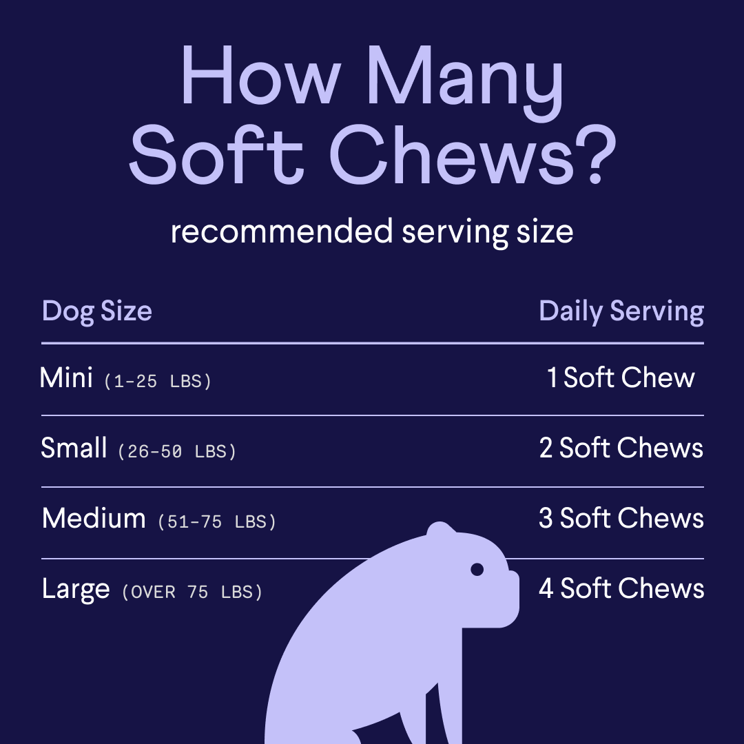 Dog soft chew serving guide chart on dark blue background showing daily amounts by dog size: Mini (1-25 lbs) gets 1 chew, Small (26-50 lbs) gets 2 chews, Medium (51-75 lbs) gets 3 chews, Large (over 75 lbs) gets 4 chews, with purple dog silhouette