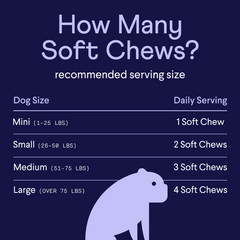 Dog soft chew serving guide chart on dark blue background showing daily amounts by dog size: Mini (1-25 lbs) gets 1 chew, Small (26-50 lbs) gets 2 chews, Medium (51-75 lbs) gets 3 chews, Large (over 75 lbs) gets 4 chews, with purple dog silhouette