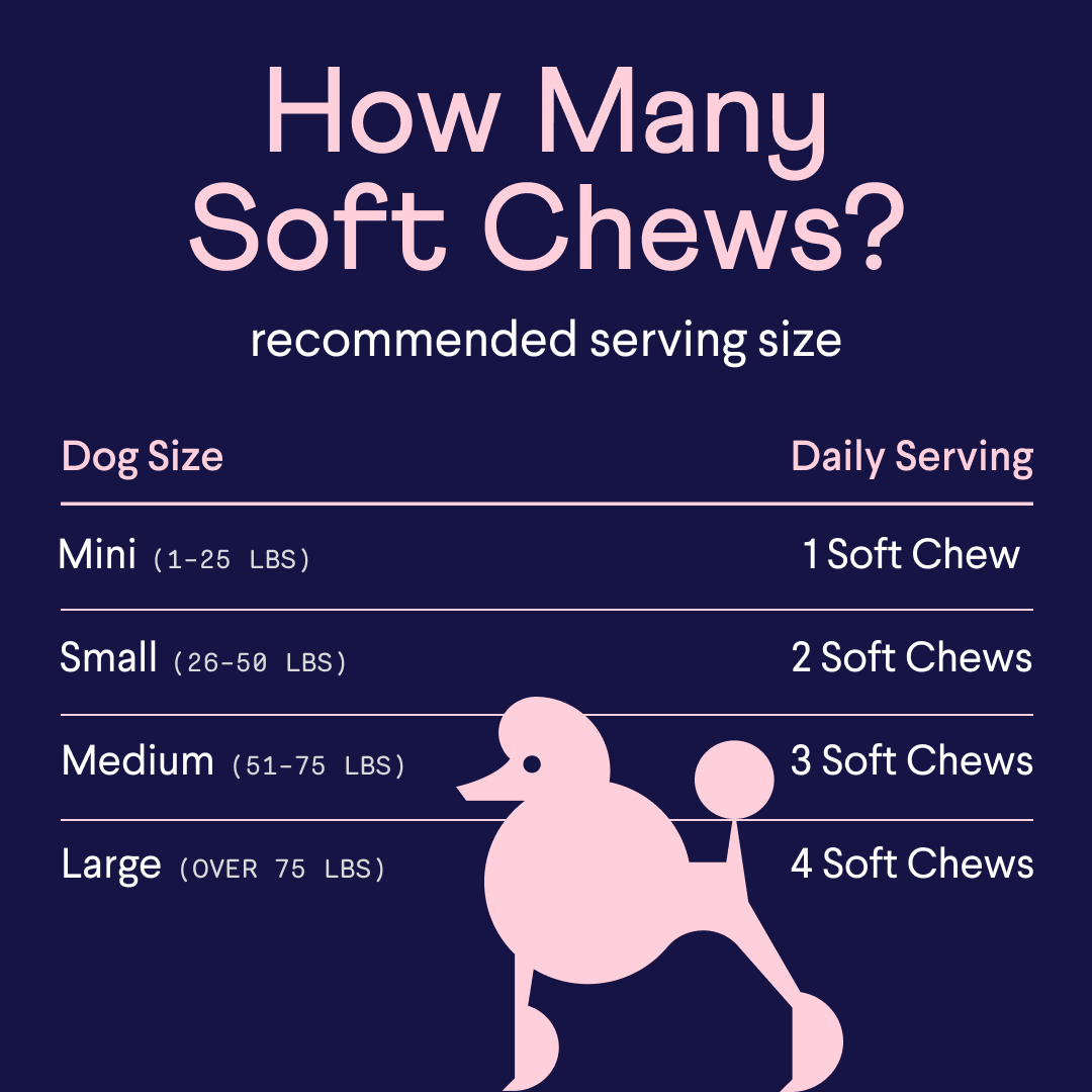 Dog soft chew serving guide chart on dark blue background with pink poodle illustration, showing daily recommendations by dog size from mini to large