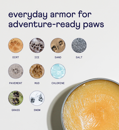 Infographic showing paw prints on various surfaces like dirt, ice, sand, salt, pavement, mud, chlorine, grass, and snow, with a golden healing balm tin.