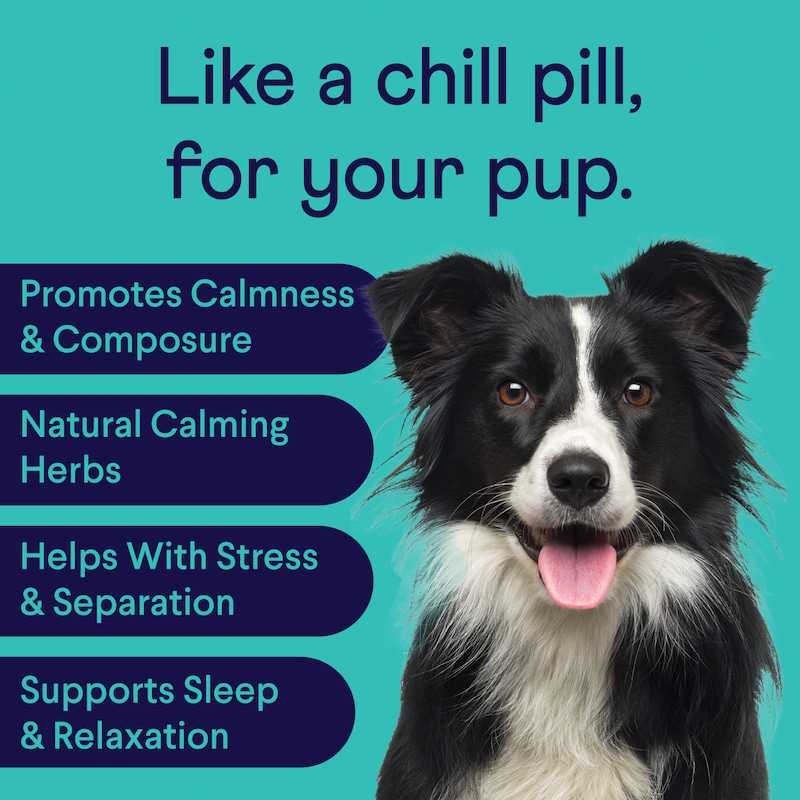 Border collie dog on teal background with text about calming benefits including stress relief and sleep support