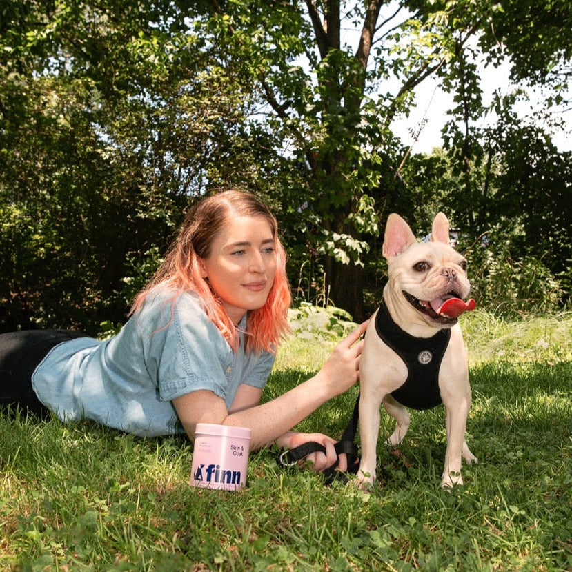 Woman with pink-tipped hair lying on grass next to cream-colored French Bulldog wearing black harness, with pink mug nearby