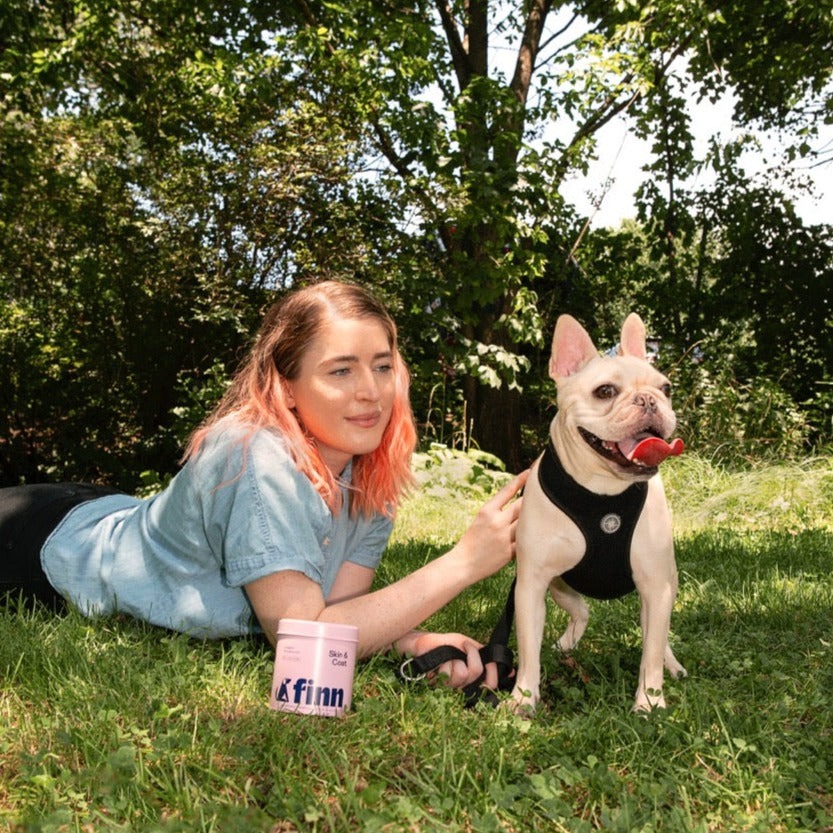 Woman with pink-tipped hair lying on grass next to white French Bulldog wearing black harness, with pink water bowl nearby
