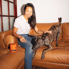 Woman in white shirt and jeans sitting on tan leather couch, petting brindle dog with orange Finn product container nearby