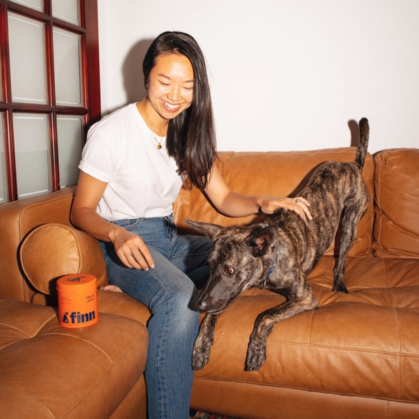Woman in white shirt and jeans sitting on tan leather couch, petting a brindle dog with orange Finn container nearby