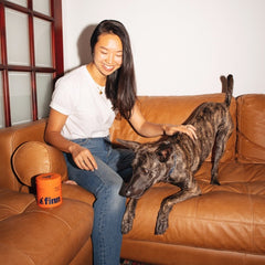 Woman in white shirt and jeans sitting on tan leather couch, petting a brindle dog with orange Finn container nearby