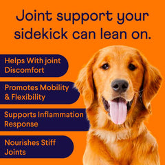 Golden retriever on orange background with text listing joint supplement benefits including mobility, flexibility, and inflammation support