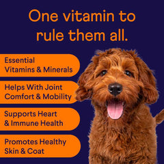 Golden-brown poodle on purple background with orange text listing vitamin benefits: joint comfort, heart health, skin & coat support