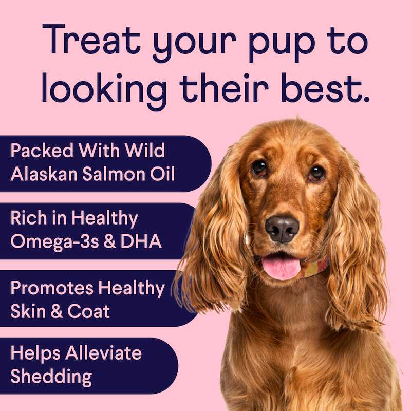 Golden cocker spaniel on pink background with text listing salmon oil benefits for dogs' skin and coat health