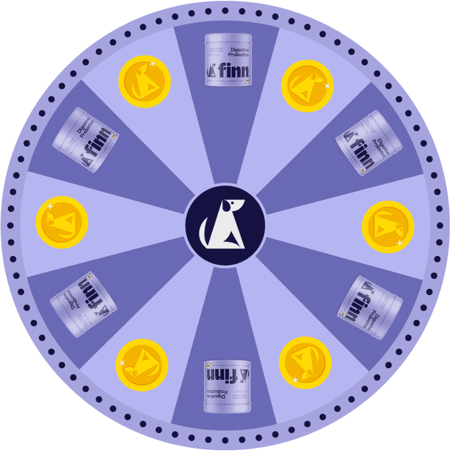 Spinning prize wheel